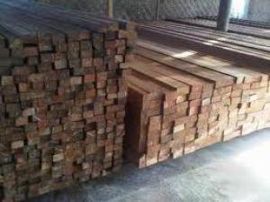 jual kayu albasia kaso murah berkualitas super
